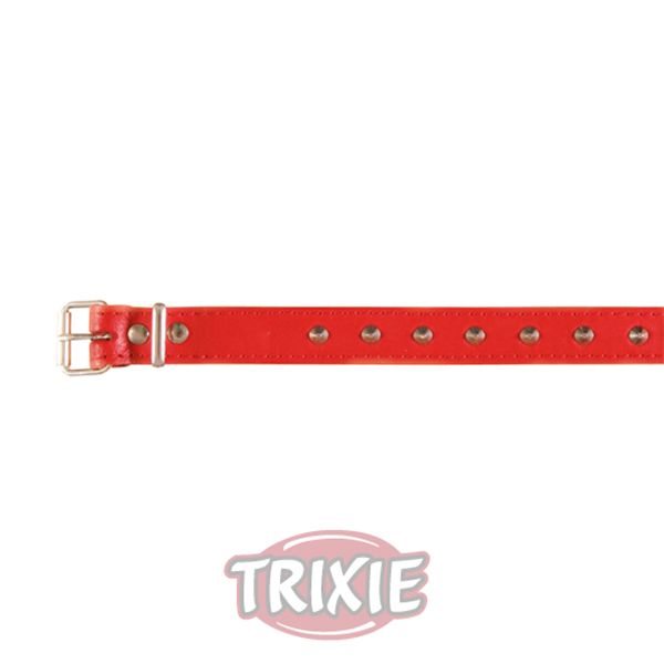 Collar Basic, Piel