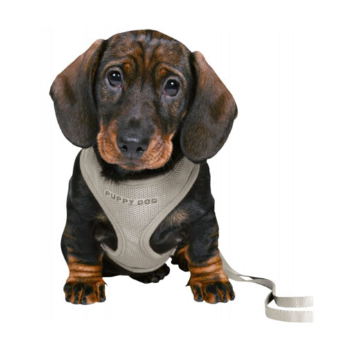 Set cachorros acolchado Trixie