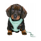 Set cachorros acolchado Trixie