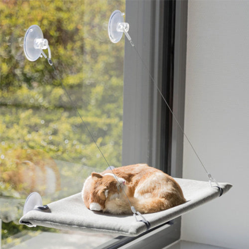 Hamaca para el cristal de la ventana | ARISTOPET