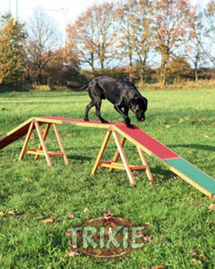 Pasarela Agility Trixie