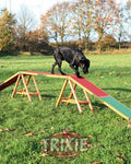 Pasarela Agility Trixie