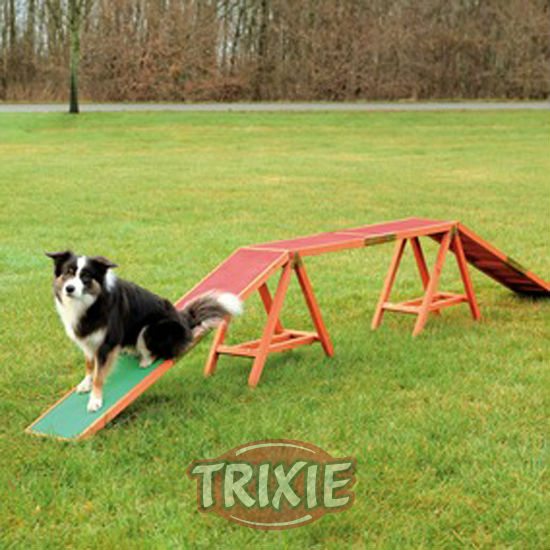 Pasarela Agility Trixie