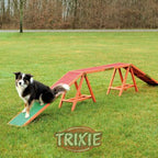 Pasarela Agility Trixie