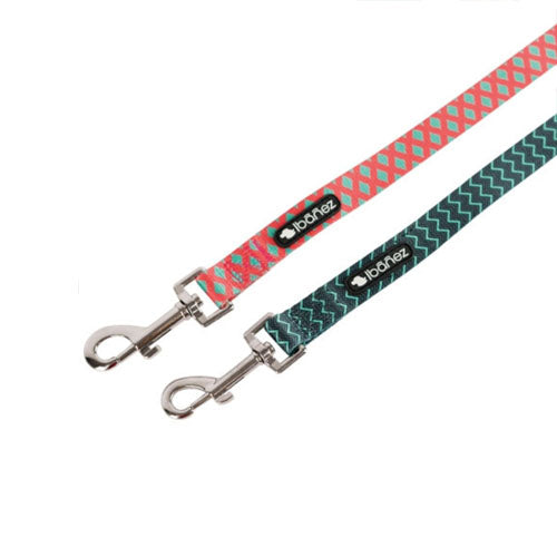 Correa para Perro Nylon Fantasy Mint