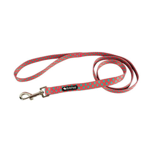 Correa para Perro Nylon Fantasy Mint