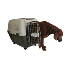 Transportines con ruedas TRAVELLER