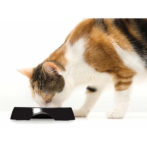 Comedero de Acero Inoxidable Catit