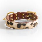 Collar Animal Print Buckingham Be Two Handmade