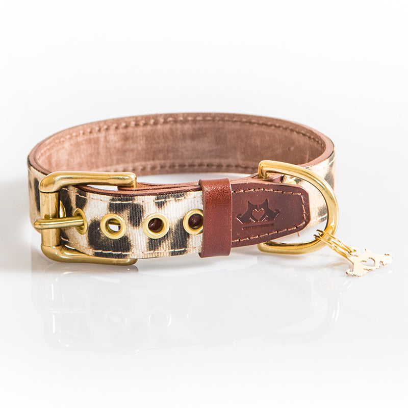 Collar Animal Print Buckingham Be Two Handmade