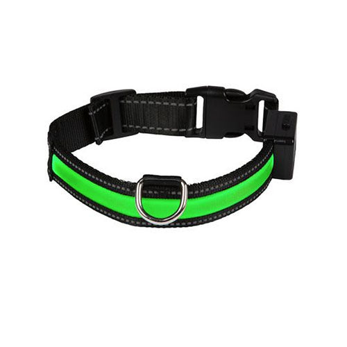 Collar para Perro Luz Led USB