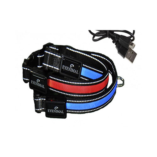 Collar para Perro Luz Led USB