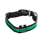 Collar Light Eyenimal