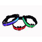 Collar Light Eyenimal