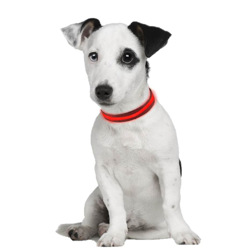 Collar Light Eyenimal