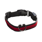 Collar Light Eyenimal