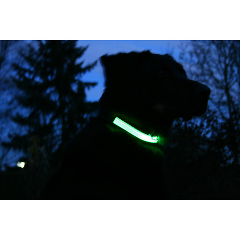 Collar Light Eyenimal