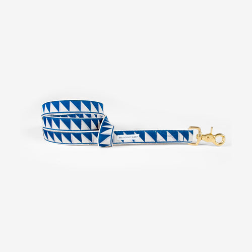 Correa para Perro Nice Grill Varios Colores | ARISTOPET