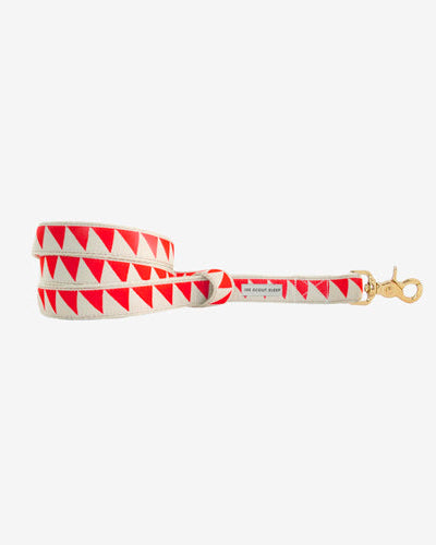 Correa para Perro Nice Grill Varios Colores | ARISTOPET
