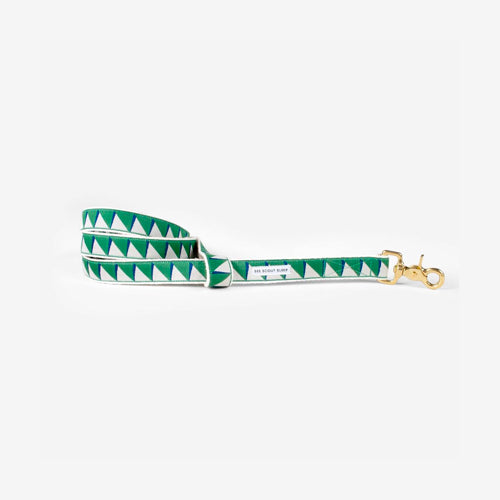 Correa para Perro Nice Grill Varios Colores | ARISTOPET