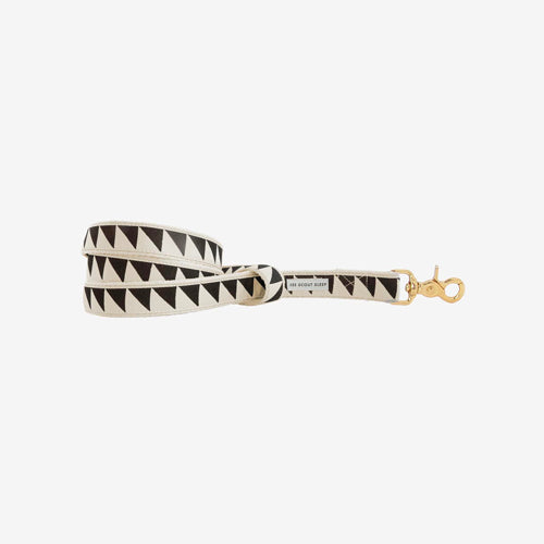 Correa para Perro Nice Grill Varios Colores | ARISTOPET
