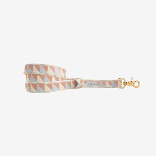 Correa para Perro Nice Grill Varios Colores | ARISTOPET