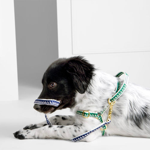 Arnés para Perro Nice Grill Varios Colores | ARISTOPET