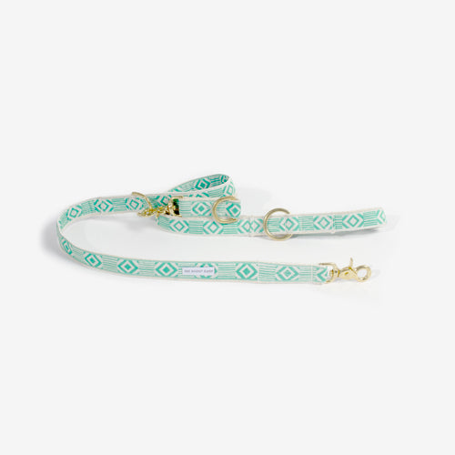 Correa Ajustable para Perro Out Of My Box Varios Colores | ARISTOPET