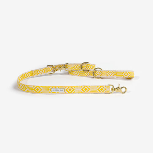 Correa Ajustable para Perro Out Of My Box Varios Colores | ARISTOPET