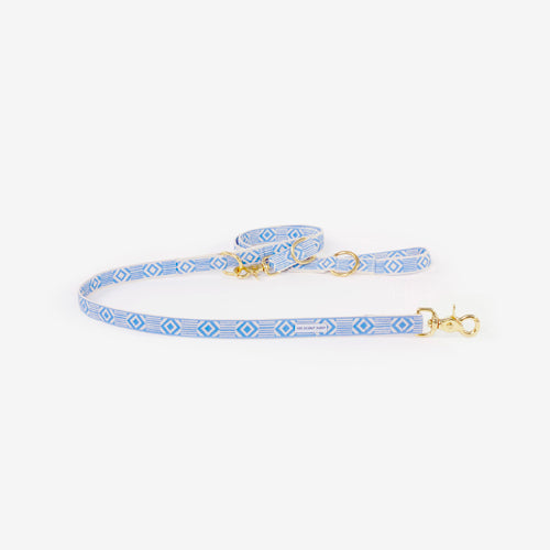 Correa Ajustable para Perro Out Of My Box Varios Colores | ARISTOPET