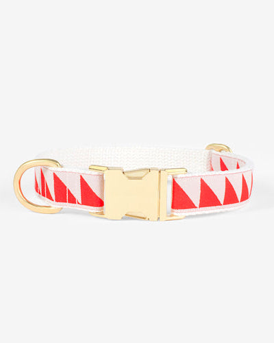 Collar para Perro Nice Grill | ARISTOPET