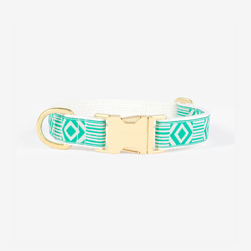 Collar para Perro Out of my Box | ARISTOPET