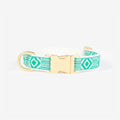 Collar para Perro Out of my Box | ARISTOPET