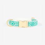 Collar para Perro Out of my Box | ARISTOPET