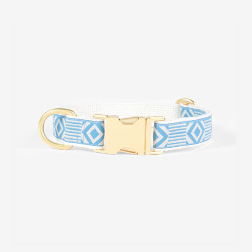 Collar para Perro Out of my Box | ARISTOPET
