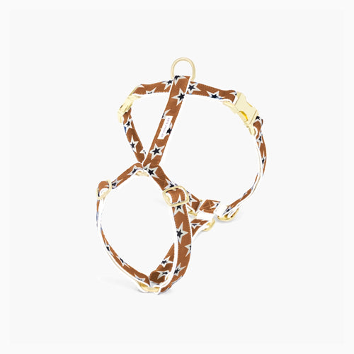 Arnés para Perro Starstruck Varios Colores Standard | ARISTOPET