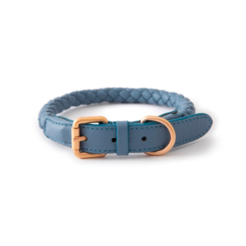 Collar de piel para perros FERDINANDO | ARISTOPET