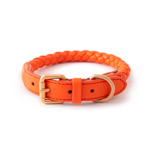 Collar de piel para perros FERDINANDO | ARISTOPET
