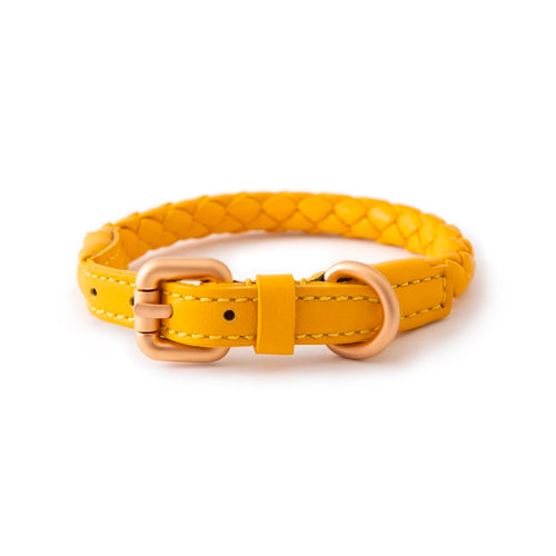 Collar de piel para perros FERDINANDO | ARISTOPET