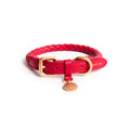 Collar de piel para perros FERDINANDO | ARISTOPET