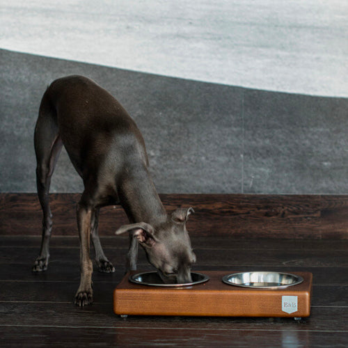 Comedero doble DUO Bowl and Bone