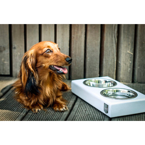 Comedero doble DUO Bowl and Bone