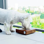 Comedero SOLO Bowl and Bone | ARISTOPET