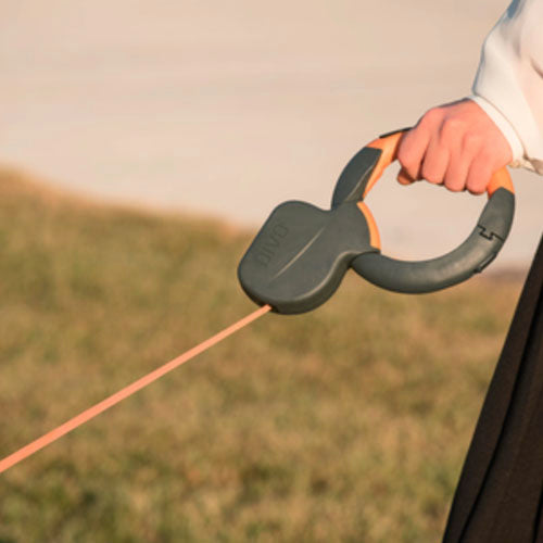 Correa extensible para perrro Divo