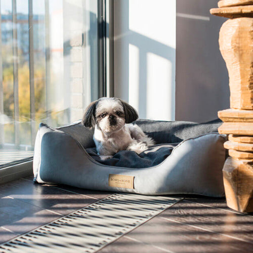 Cama Bowl and Bone CLASSIC | ARISTOPET
