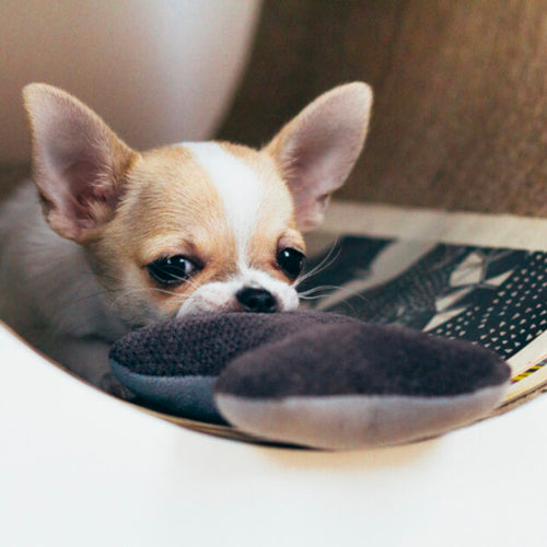 Cama Bowl and Bone CLASSIC | ARISTOPET