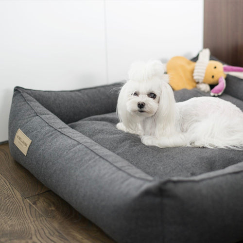 Cama Bowl and Bone URBAN Gris