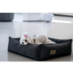 Cama Bowl and Bone Urban | ARISTOPET