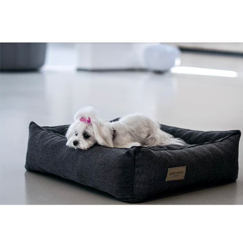 Cama Bowl and Bone Urban | ARISTOPET