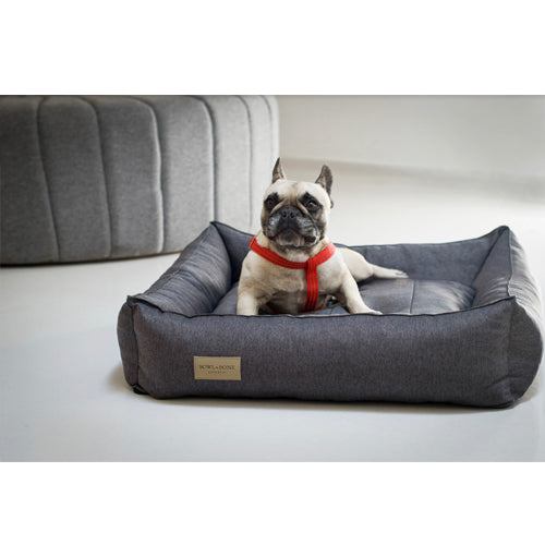 Cama Bowl and Bone Urban | ARISTOPET